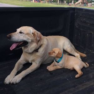 Meet your Posher, Brianna